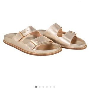 Cole Haan Marisol Gold Buckle Slide Sandals NEW 8